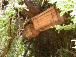 Hanging Beehive (Africa)